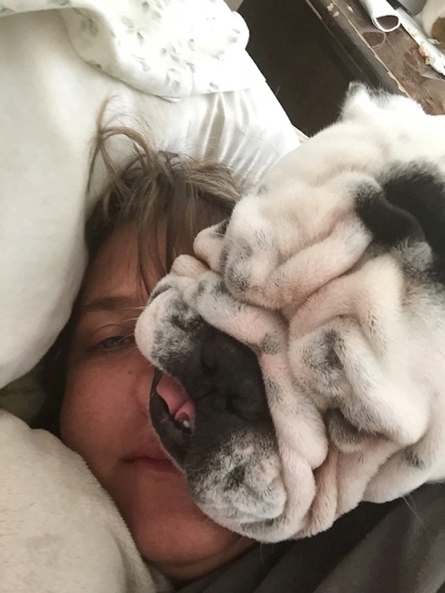 "Dobro jutro!"