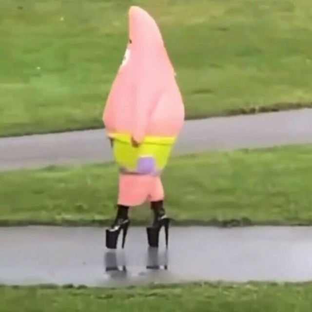 28.