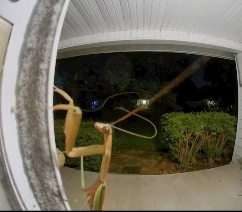 4. Sinoć nam je pozvonio totalno neočekivani gost