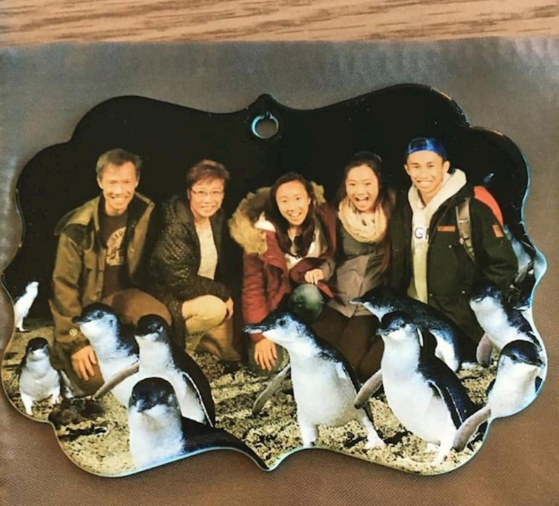 4. Naručila je ornamentalnu fotku svoje obitelji, a dobila azijsku obitelj s pingvinima