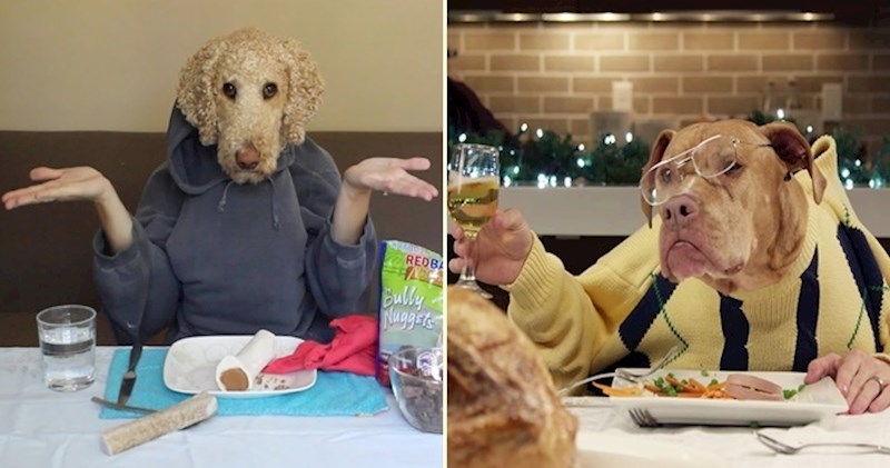 Vlasnike pasa u karanteni obuzela je dosada, pa su se zabavili fotkanjem ljubimaca s ljudskim rukama