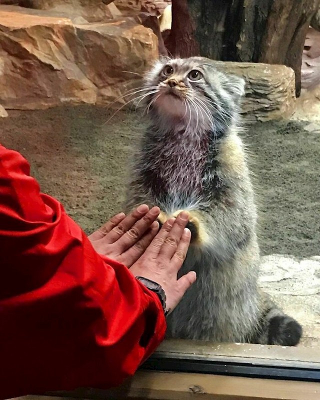 4.