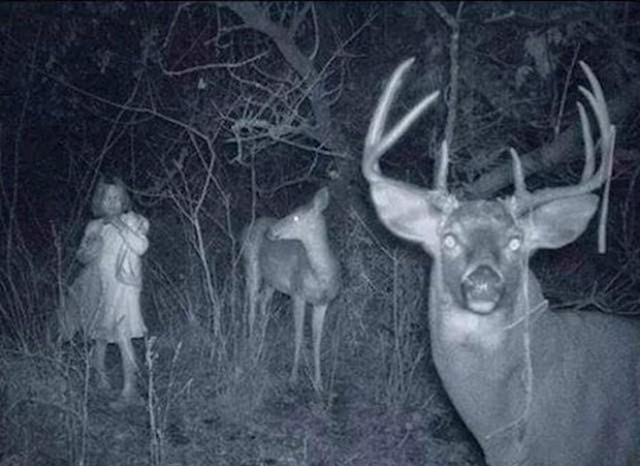 1.