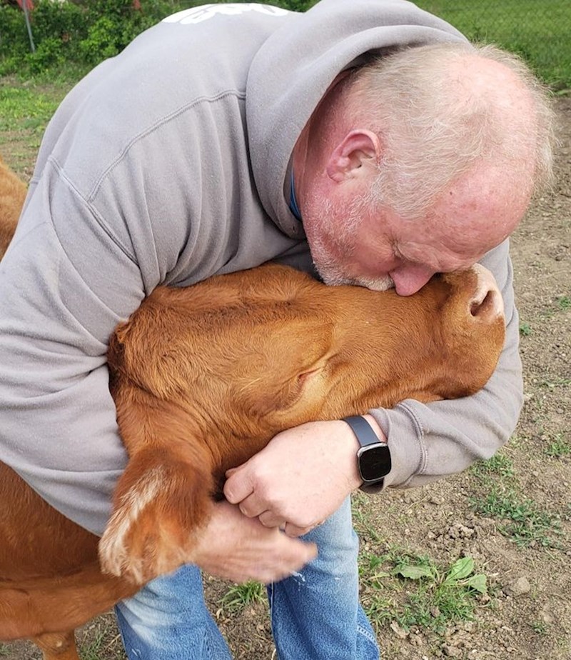 3. Čovjek i njegova krava