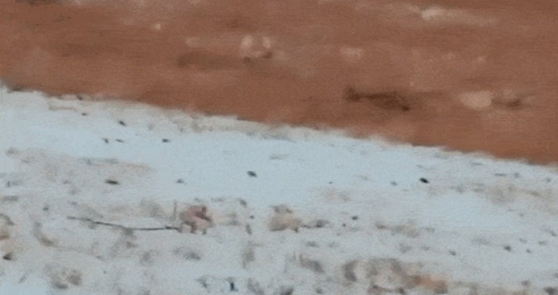 Nije imao sanjke pa se odlučio spustiti niz brdo pomoću nečeg neočekivanog