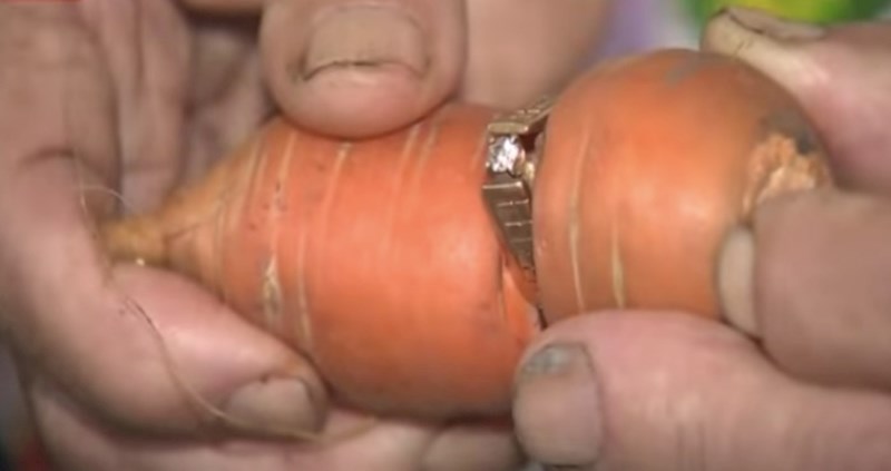 VIDEO 10 totalno ludih stvari koje su ljudi pronašli zakopane u svojim dvorištima