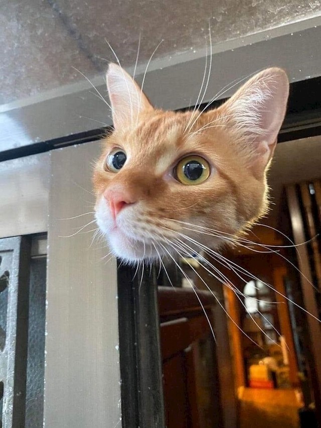 19.