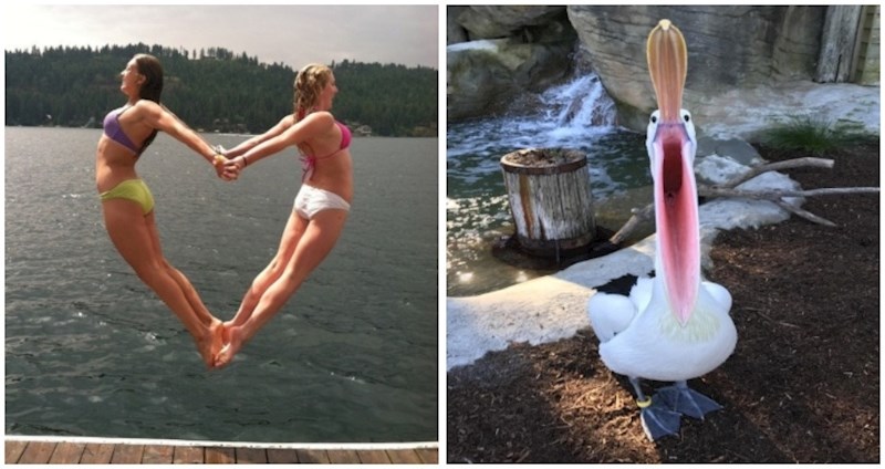 17 zabavnih fotki koje nisu mogle biti snimljene u boljem trenutku