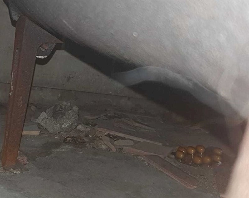 4. Pronašli su "čudna jaja" ispod kade