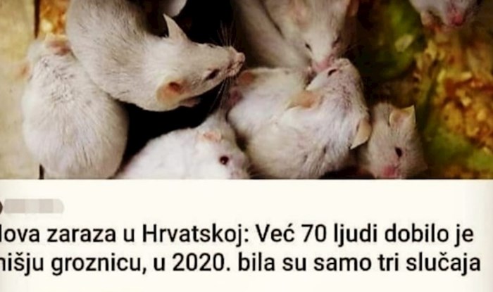 Hrvatskom se širi nova zaraza, a Tomislavova reakcija na tu činjenicu oduševila je internet