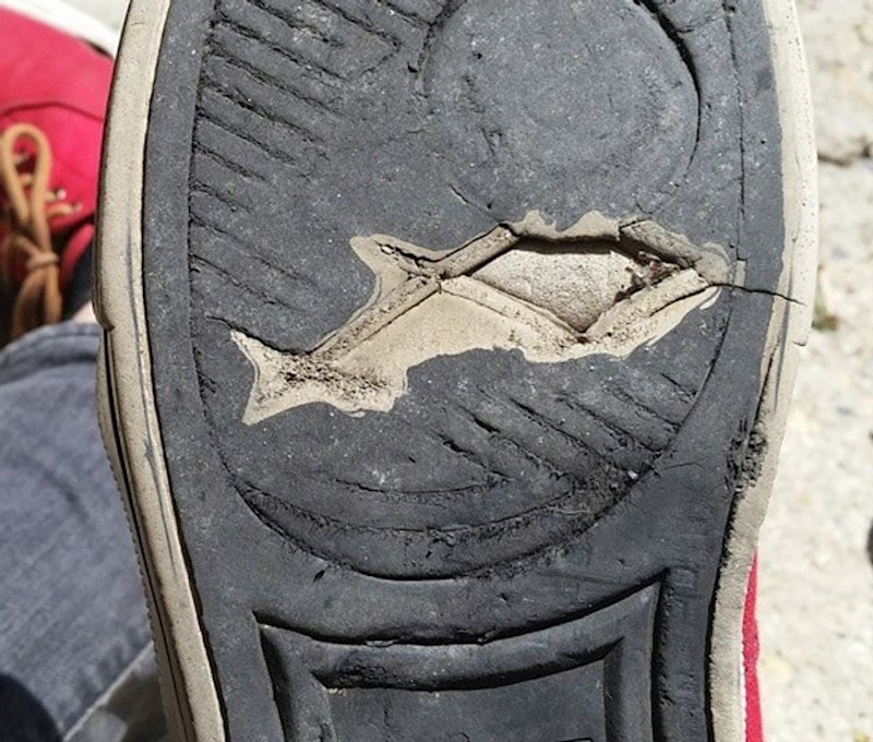 8. Rupa na tenisici u obliku morskog psa