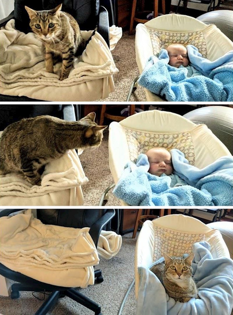 13. NE, u ovoj kući mjesta ima samo za jednu bebu!!