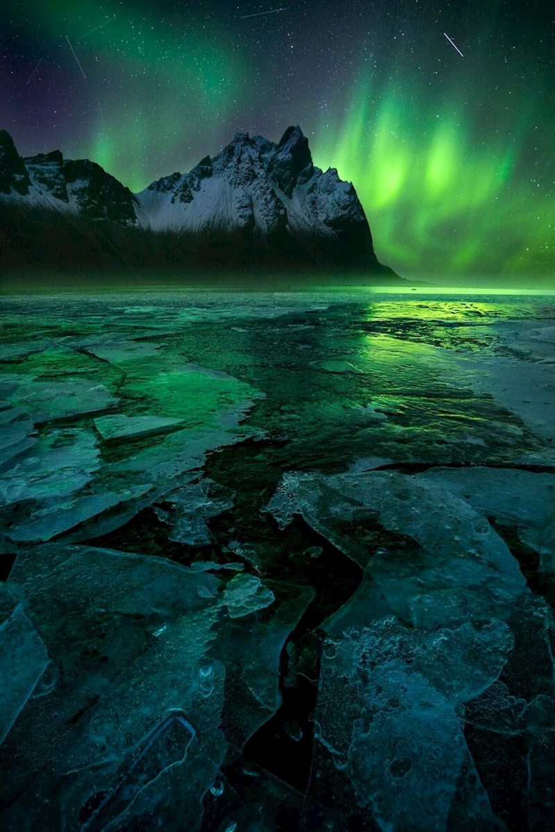 11. William Patino, Island