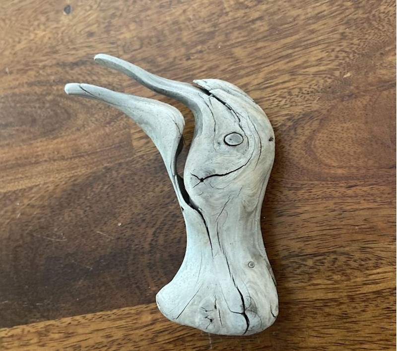 9. Komad drveta koji izgleda kao galeb