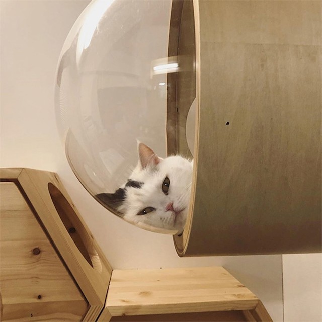 15.