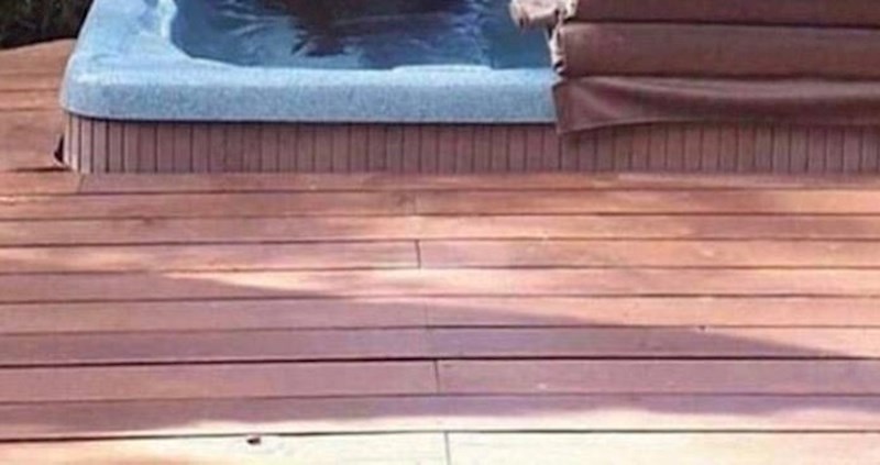 Vlasnici su u svojem jacuzziju uočili nepozvanog gosta, ovaj prizor je sve