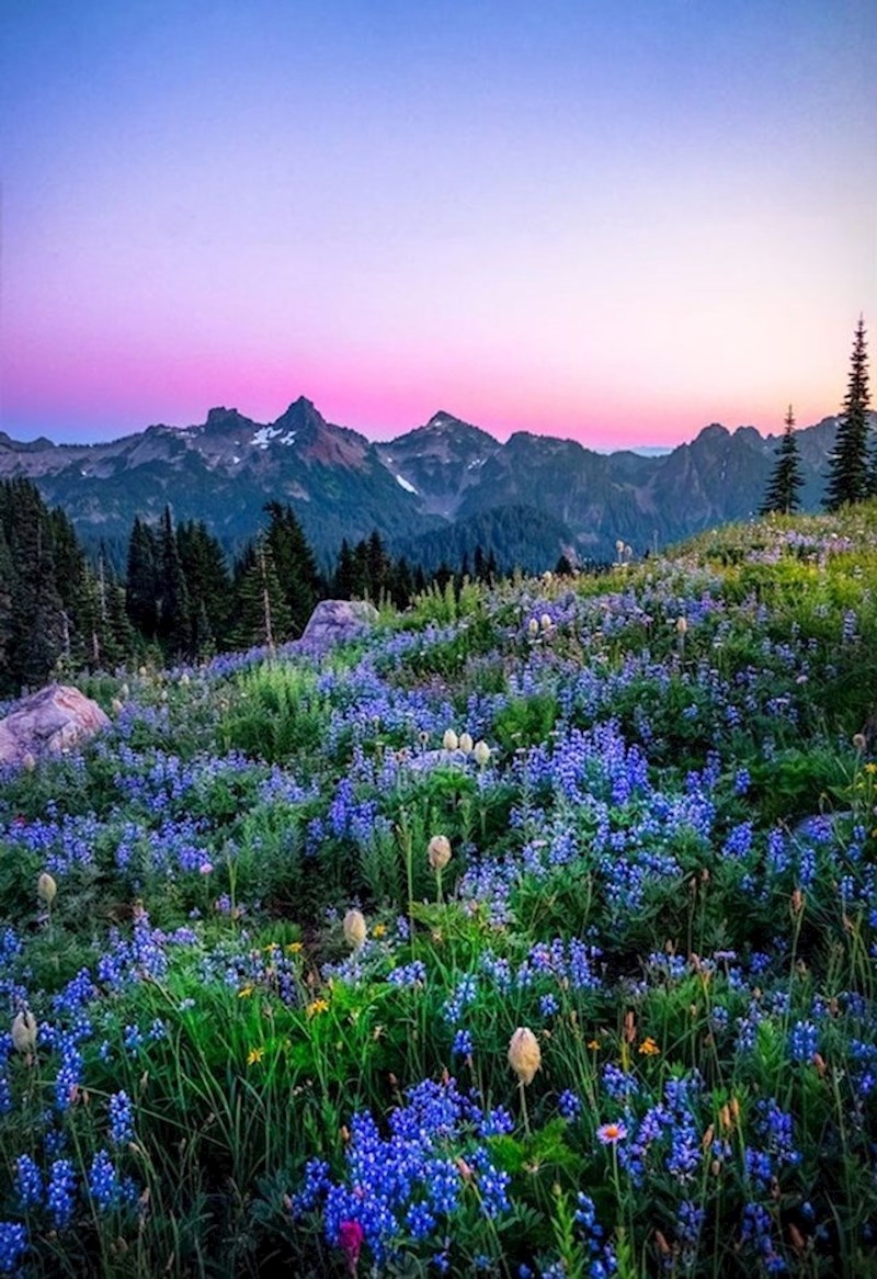 "Ovo mjesto izgleda kao da je začarano, a tako se i osjećate kad ste ovdje."