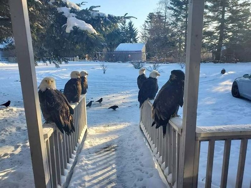 8. "Dobro jutro iz Iowe." :)