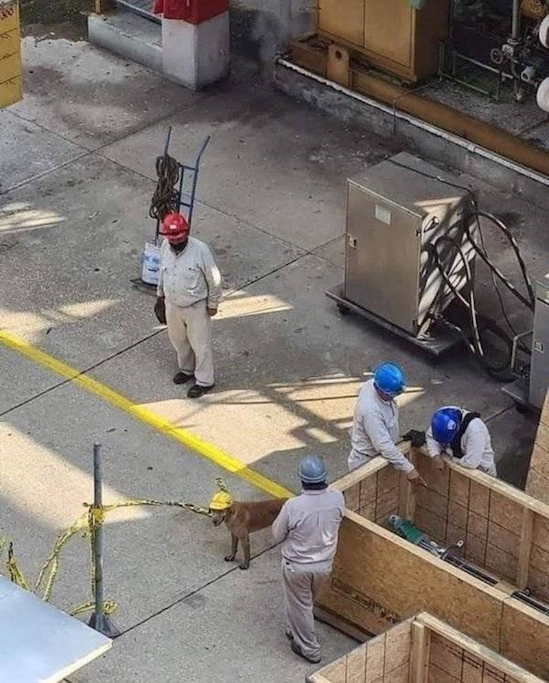 Dobar dečko zaslužuje i dobru opremu.