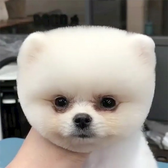 16.