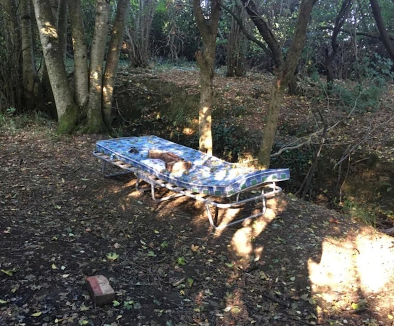 10. Netko je usred šume pronašao madrac