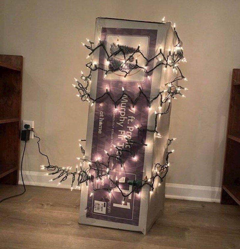 3. Okitio je bor! 😆