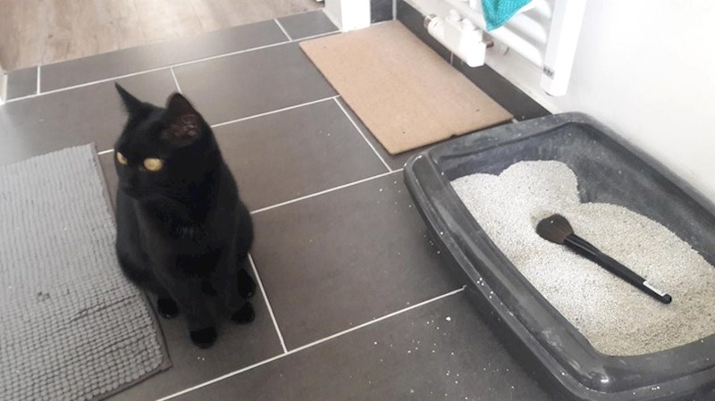 "Ukrala mi je kist za šminkanje i spremila ga u svoju kupaonicu."