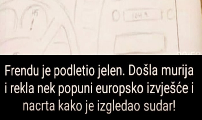 Tipu je pod auto podletio jelen, umrijet ćete od smijeha kad vidite kako je skicirao nesreću