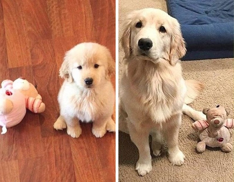 5. Najbolji prijatelji od prvog dana