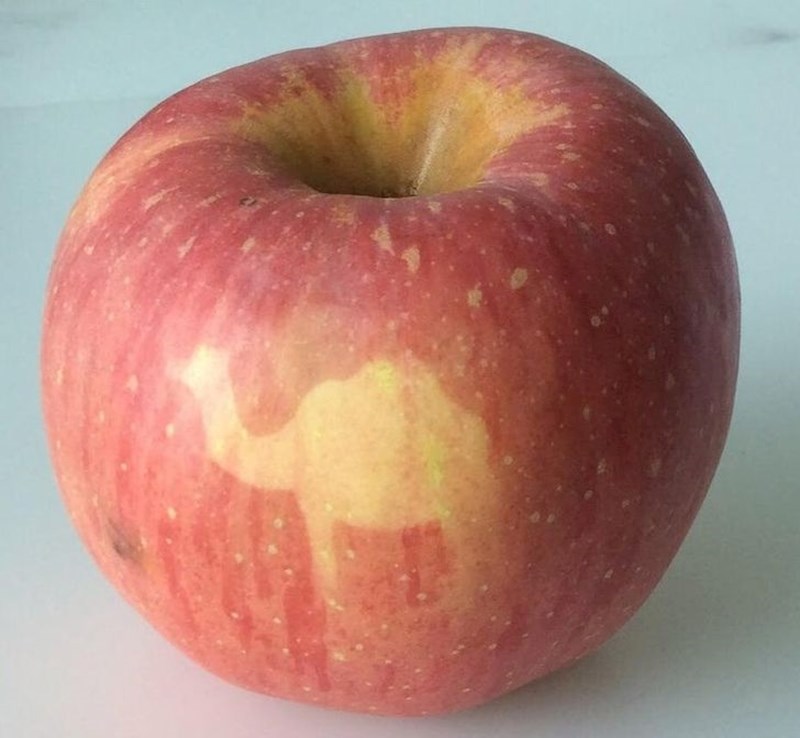 Jabuka s obrisima deve.