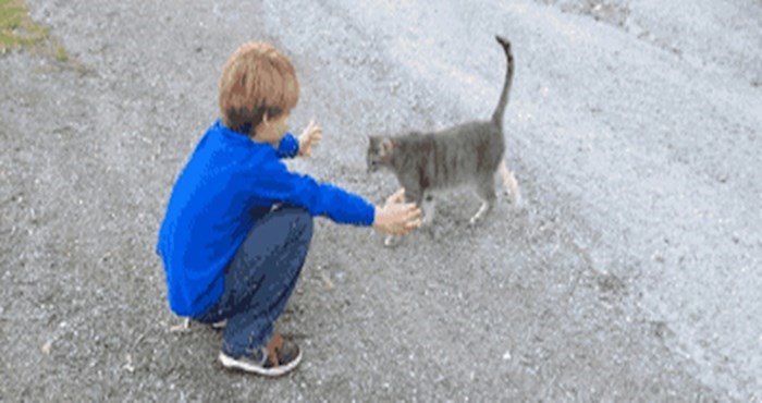 Ova maca nije bila spremna na zagrljaj, ali dječak nije ostao razočaran