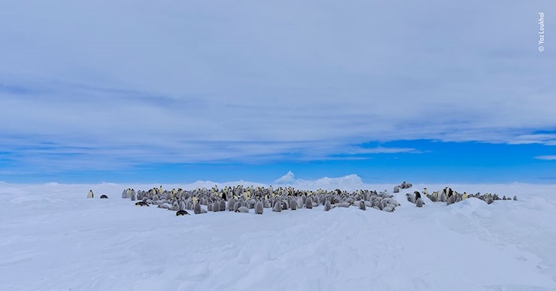 24. "Mjesto sastanka", Yaz Loukhal, Francuska