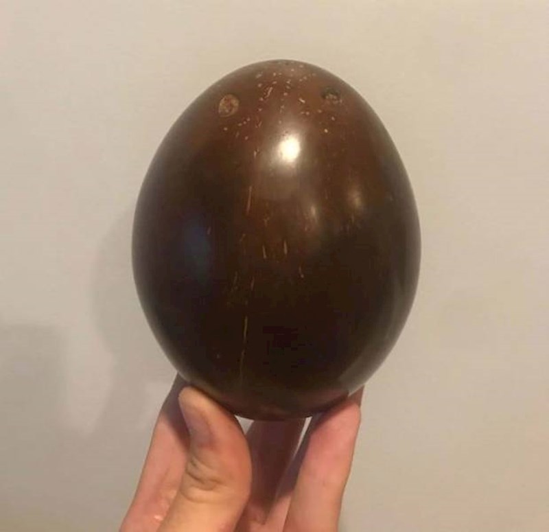 15. Ako ikad poželite ulaštiti kokos, dobit ćete ovo