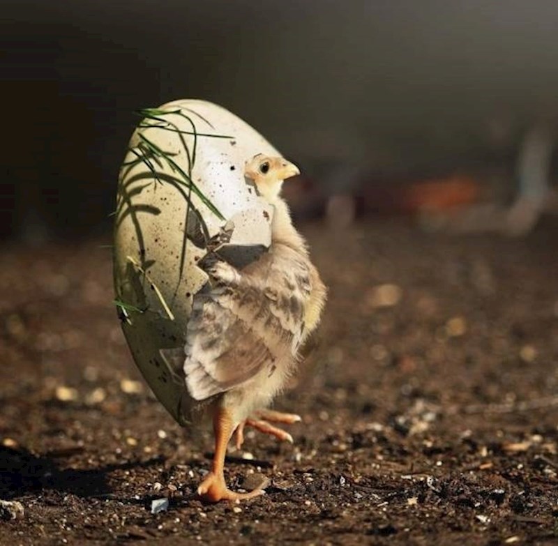 3. Koja slatkica!😁