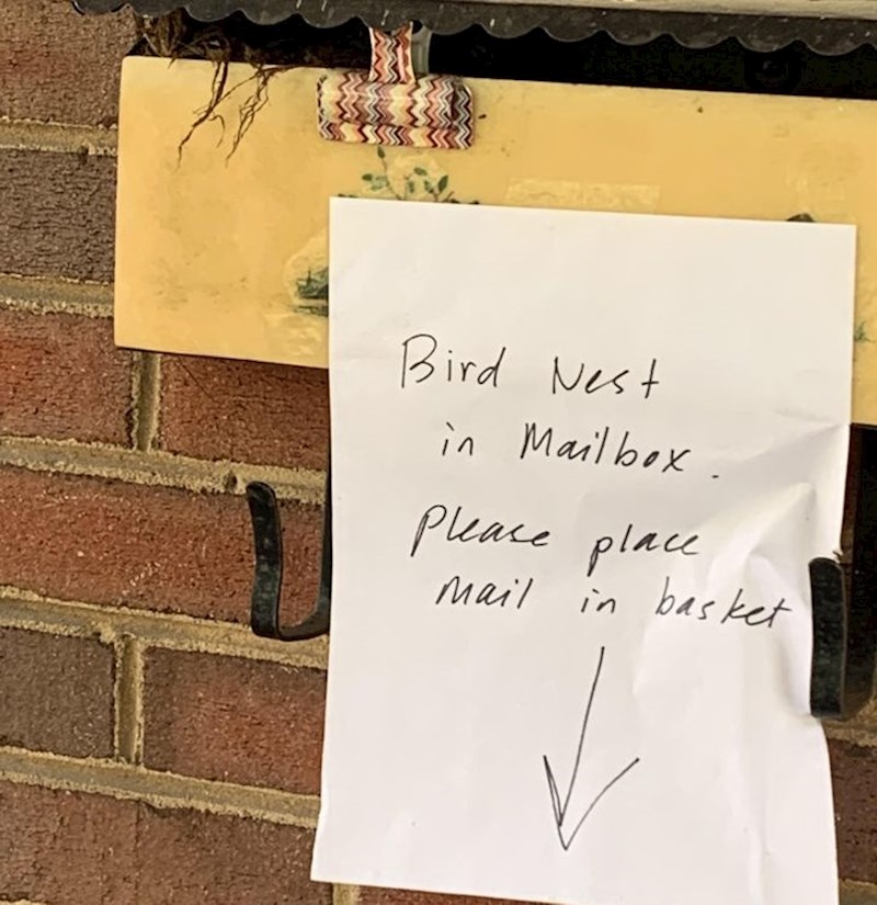 12. Netko je zamolio poštara da ne stavlja poštu u kaslić, već u košaru pored, jer je ptica napravila gnijezdo u kasliću.