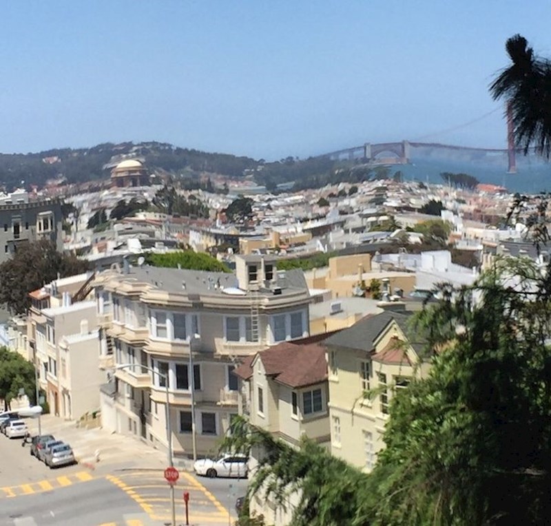 9. Netko je okinuo fotku točno u trenutku kad mu je zavibrirao mobitel. Ovo je rezultat.