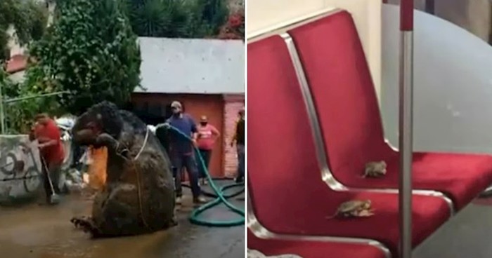 VIDEO 15 puta kad su ljudi pronašli iznenađenja na neočekivanim mjestima