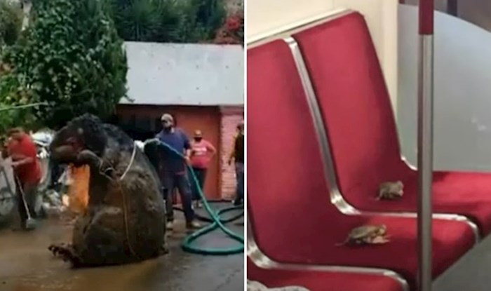 VIDEO 15 puta kad su ljudi pronašli iznenađenja na neočekivanim mjestima