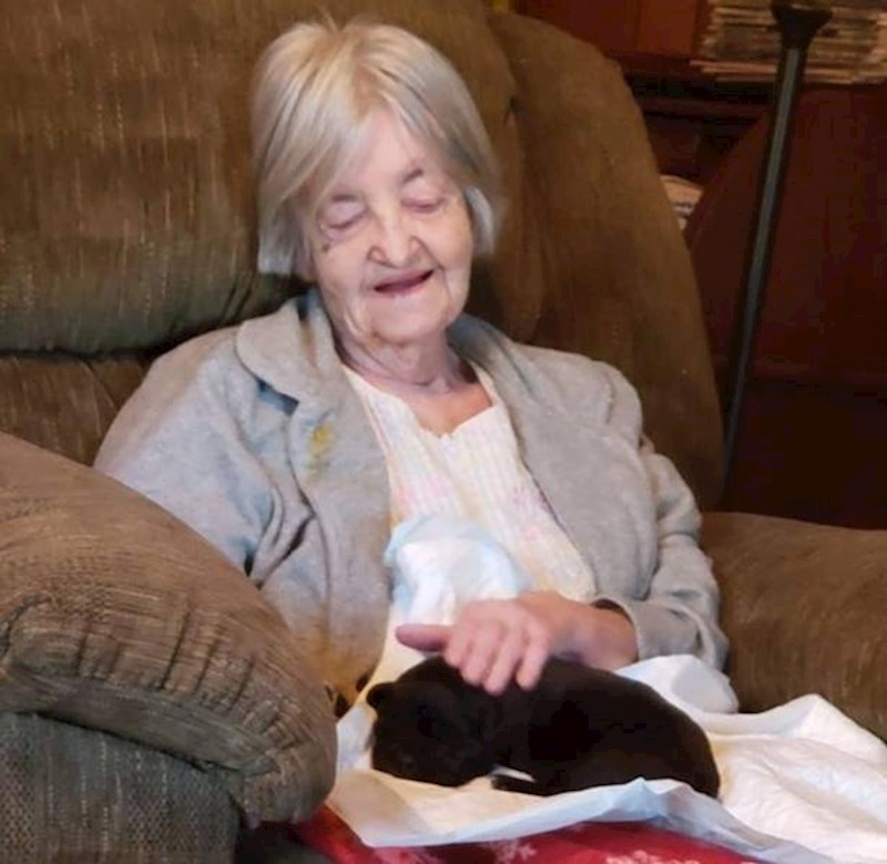 Prvi put u životu ima psa.