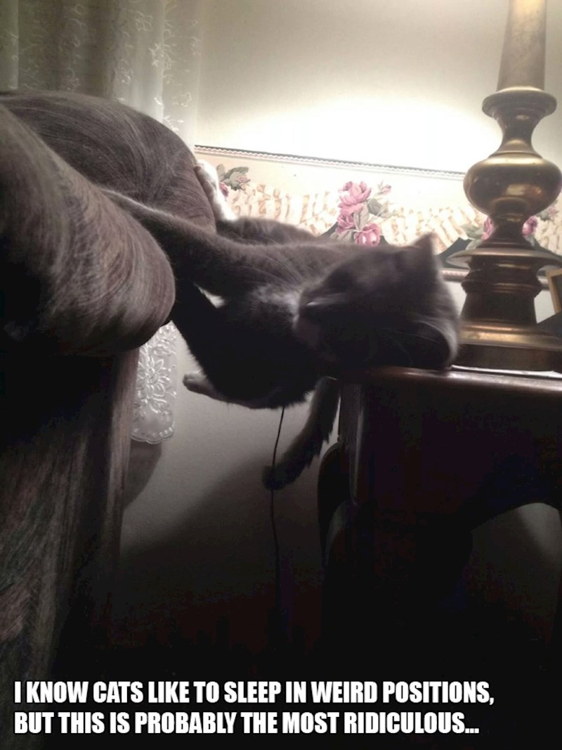 7. Znam da mačke vole spavati u smiješnim pozama, ali ovo je stvarno urnebesno.