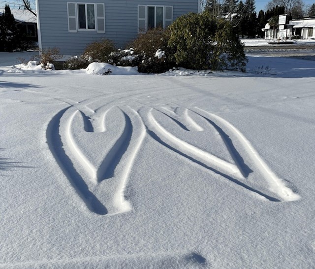 2. Srca u snijegu
