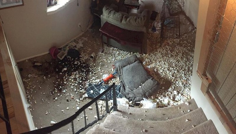 2. Ostavili su psića samog u kući prvi put