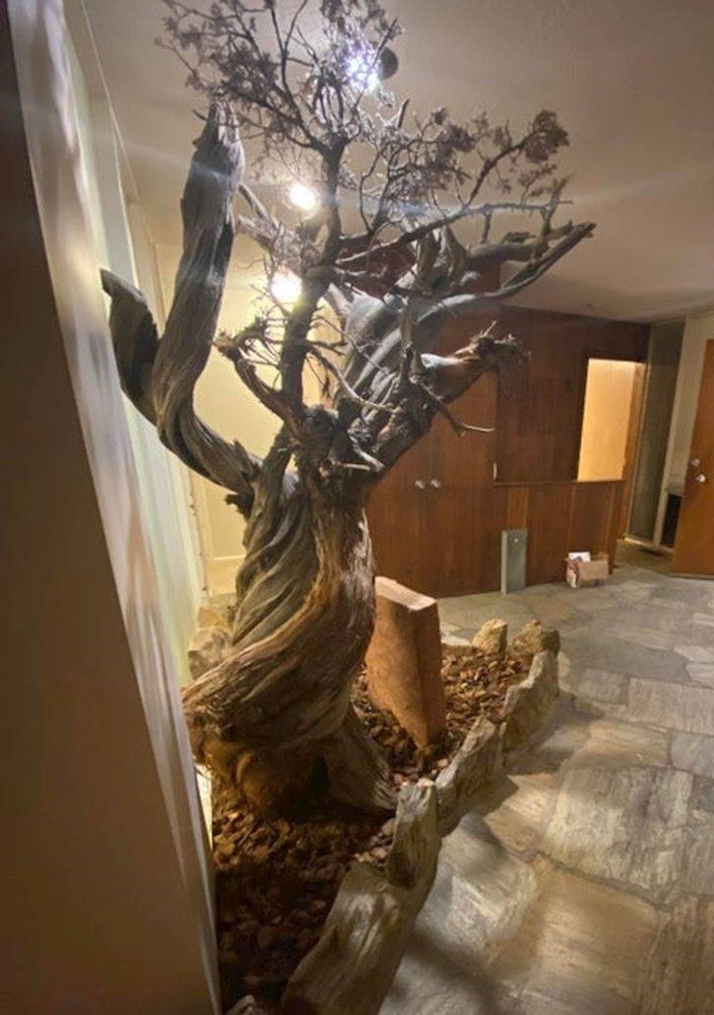 .4. Netko na ulazu u kuću ima mrtvo stablo...