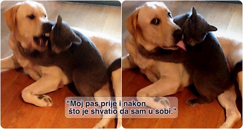 17 usporednih fotki koje pokazuju zanimljive promjene koje nam donosi vrijeme