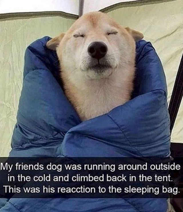10.