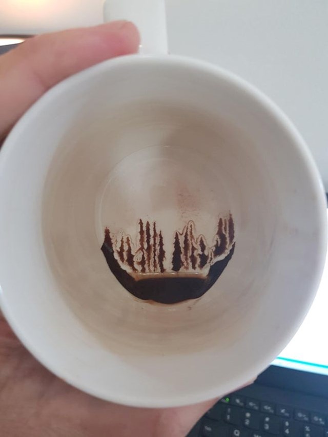 7. Naslage kave koje izgledaju kao alpska šuma