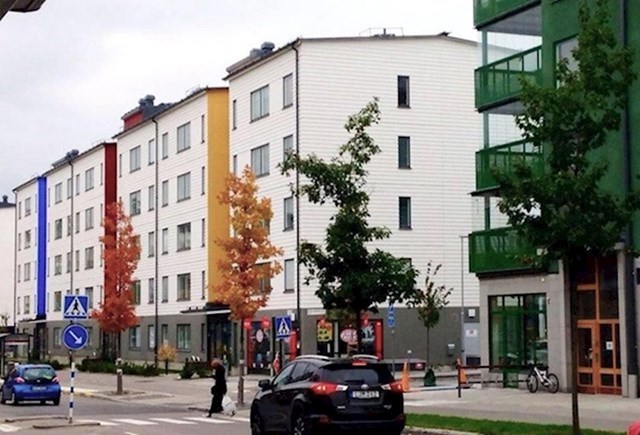 Stabla koja sasvim slučajno pašu sa bojama na zgradi.
