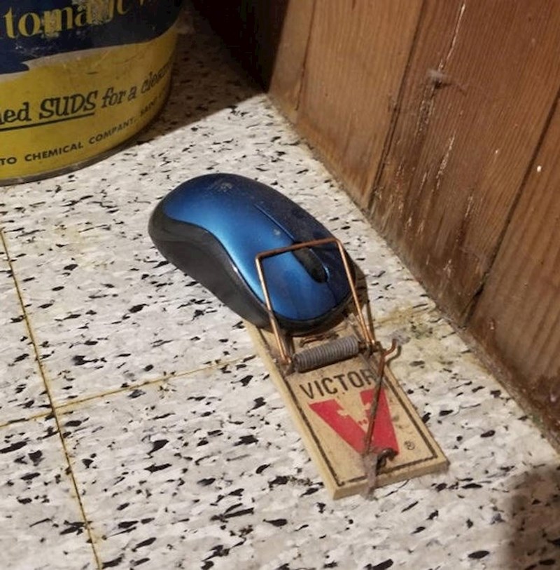 7. "Instalacija moje cure."