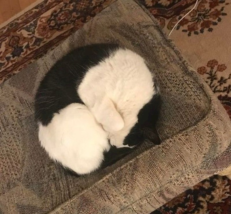 13. Priroda je fotošop majstor!