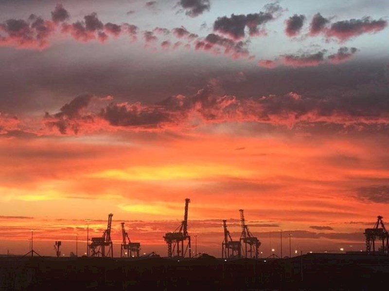 11. Čelične žirafe uživaju u zalasku sunca